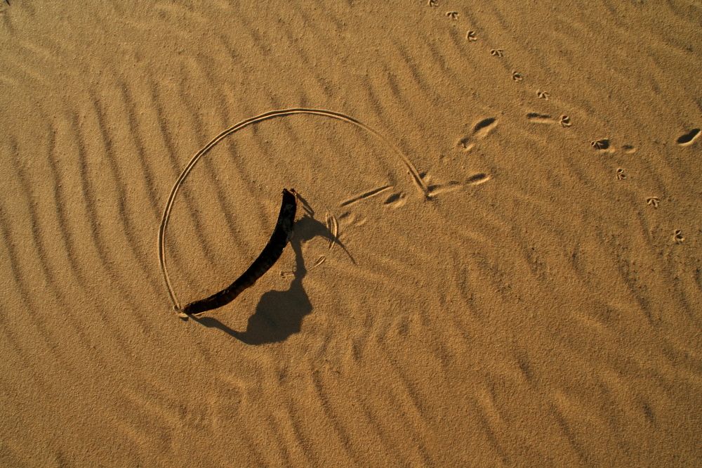 Arena y viento