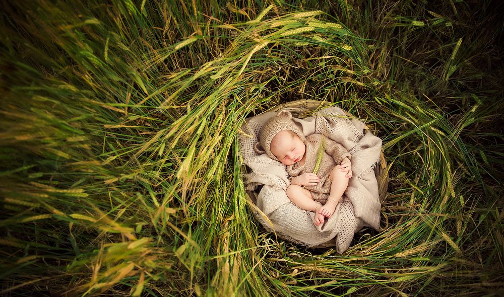 Photograph by Елена Горячева