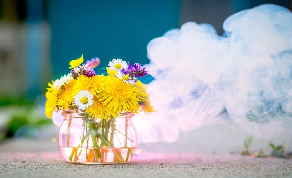 Цветы в банке