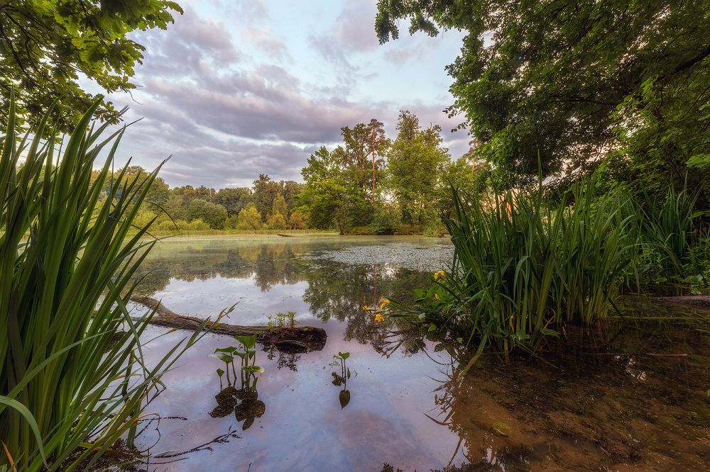 Большой пруд усадьбы «Архангельское-Тюриково»