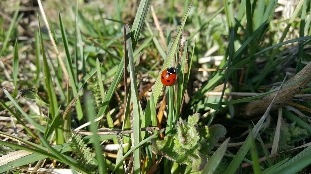 Photograph by Юлия