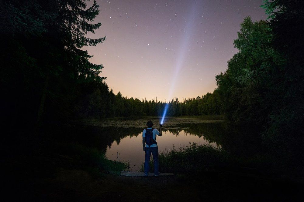 В Лобненском лесопарке.