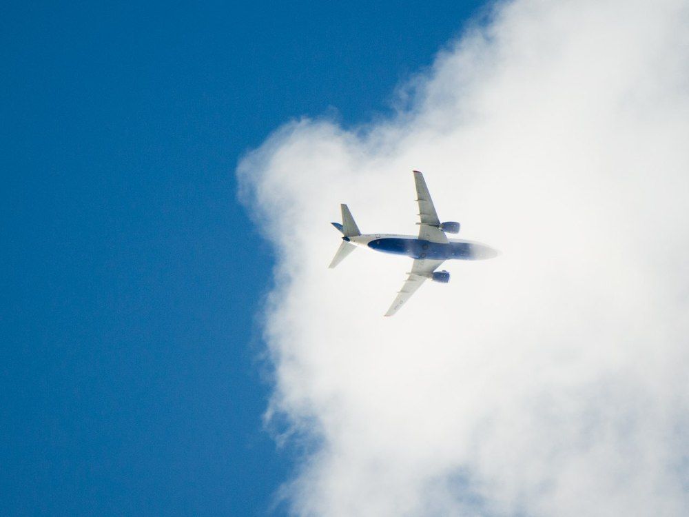 Photograph by Iman Alikhani