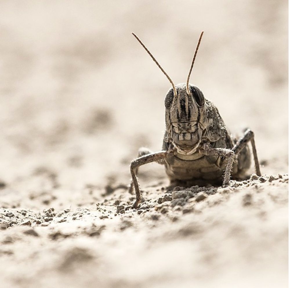 Photograph by Zzooouhh