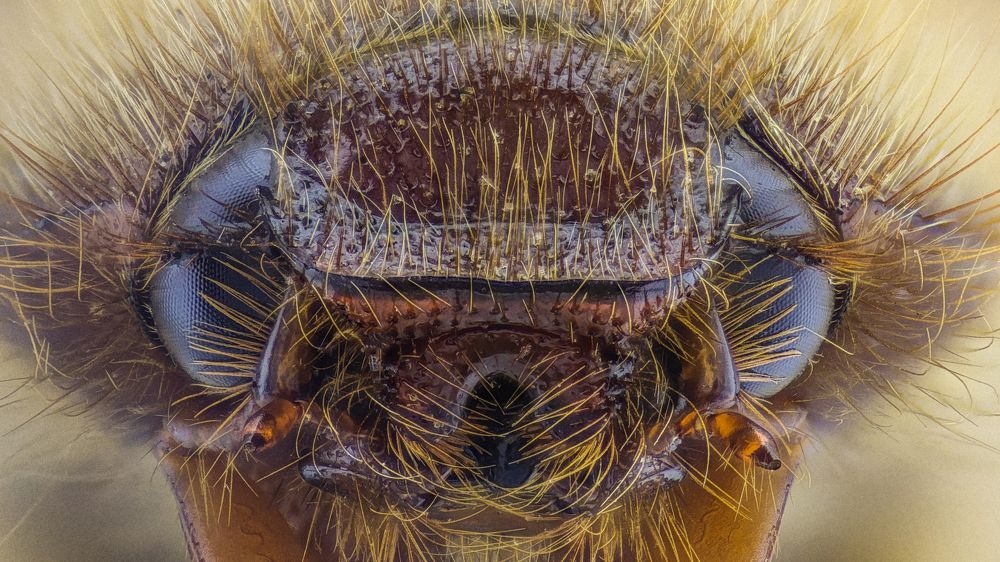 Photograph by Tsvetan Ganev