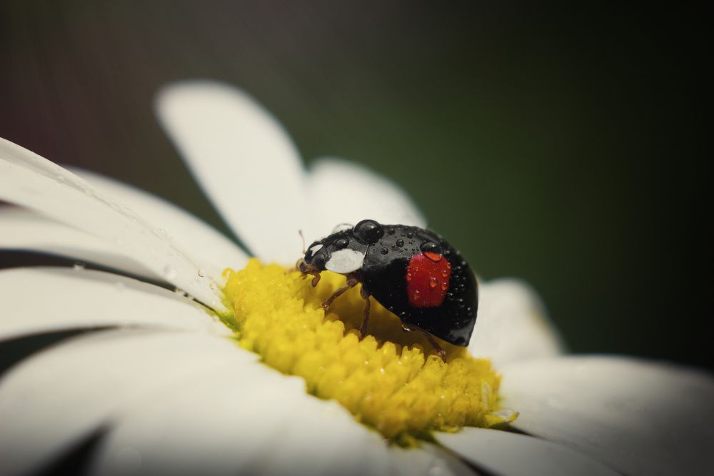 Путешествуя