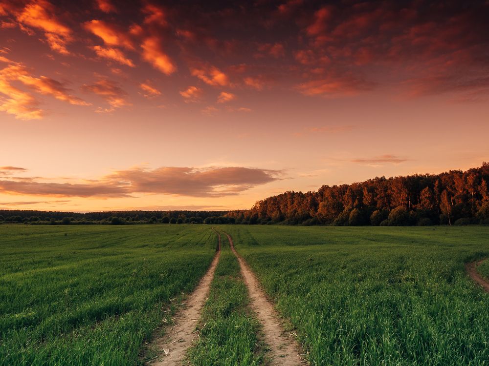 Проложи свой путь прямиком к солнцу