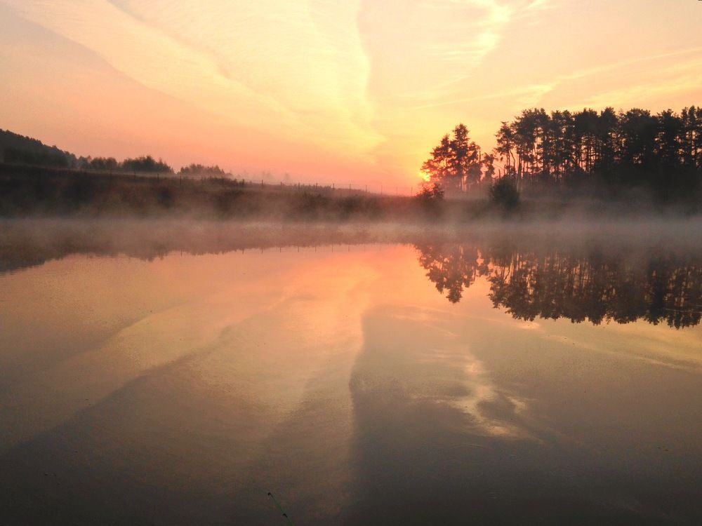 Оранжевое утро