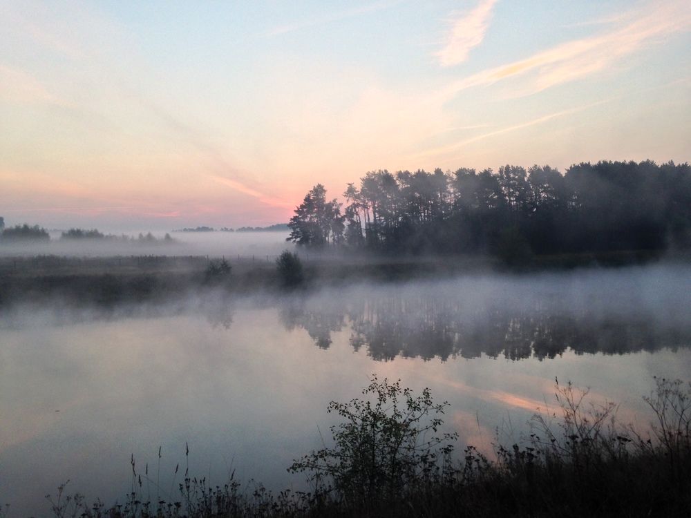 На утреннюю зорьку