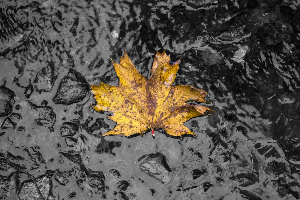 Осеннее одиночество