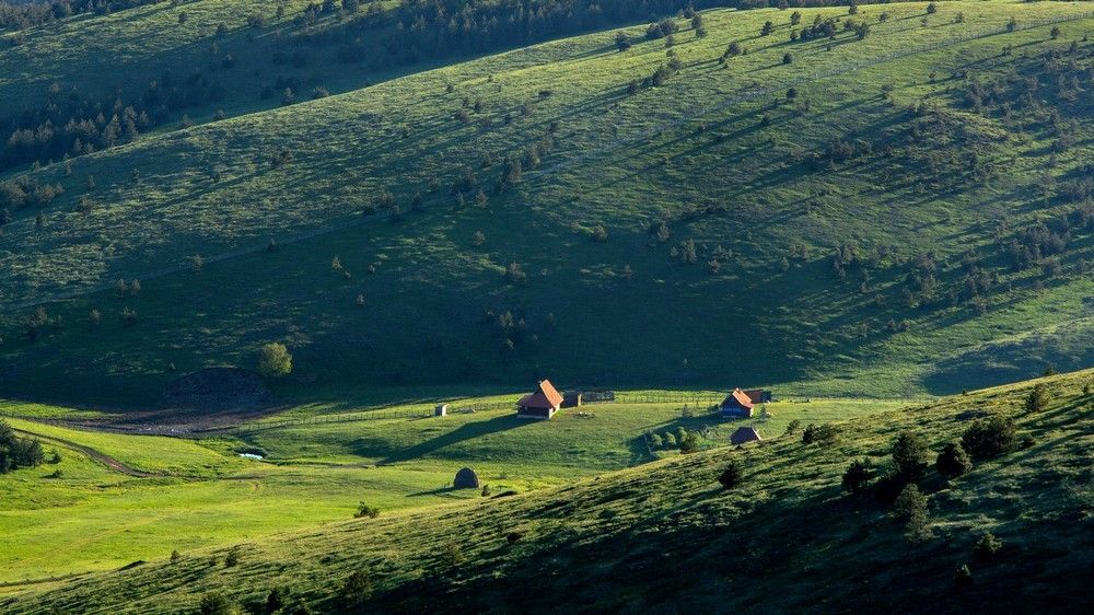 Zlatibor shadows
