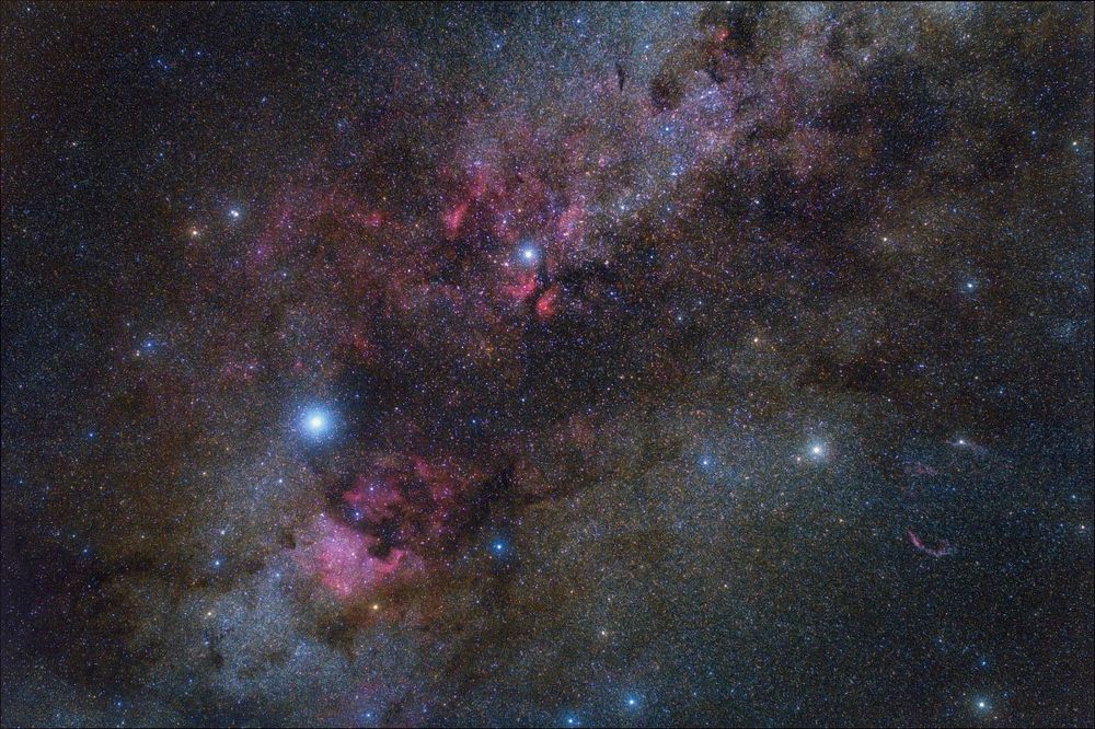 Cygnus Widefield