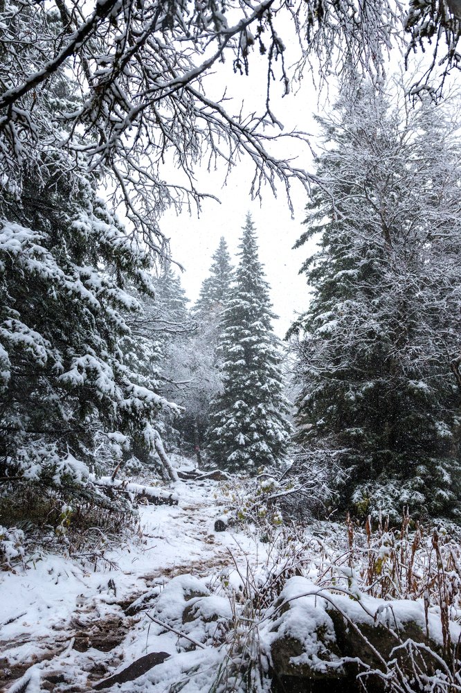 Photograph by Evgeny Pyatkov