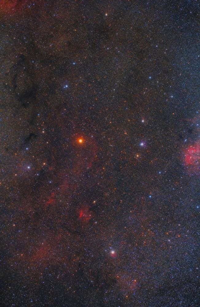 The exciting corner between elephant (Ic 1396) and lion (SH 132)