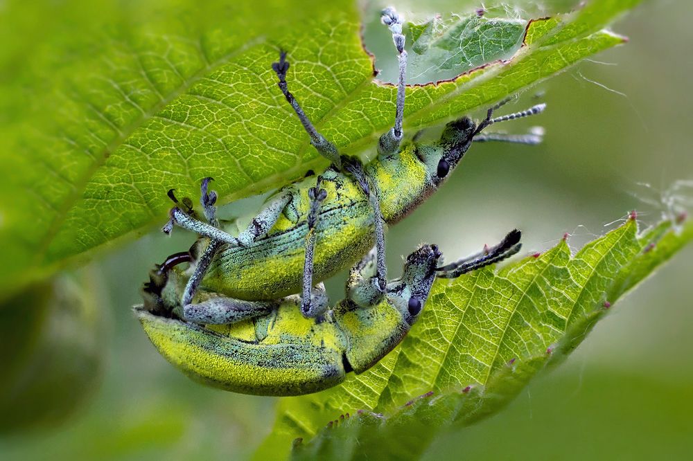 Photograph by Станислава Войцеховская
