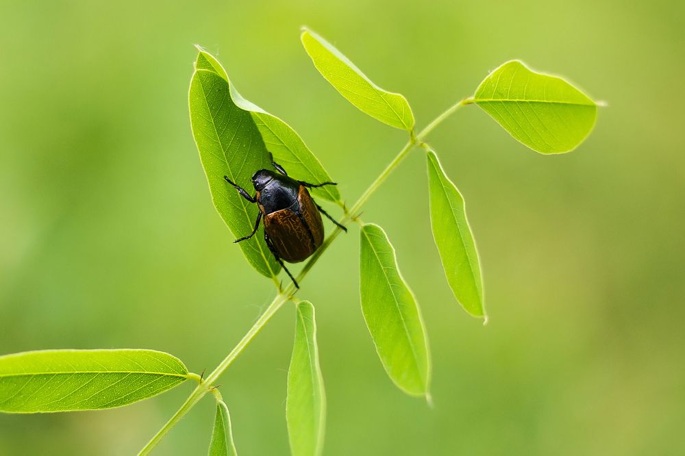 Photograph by Станислава Войцеховская