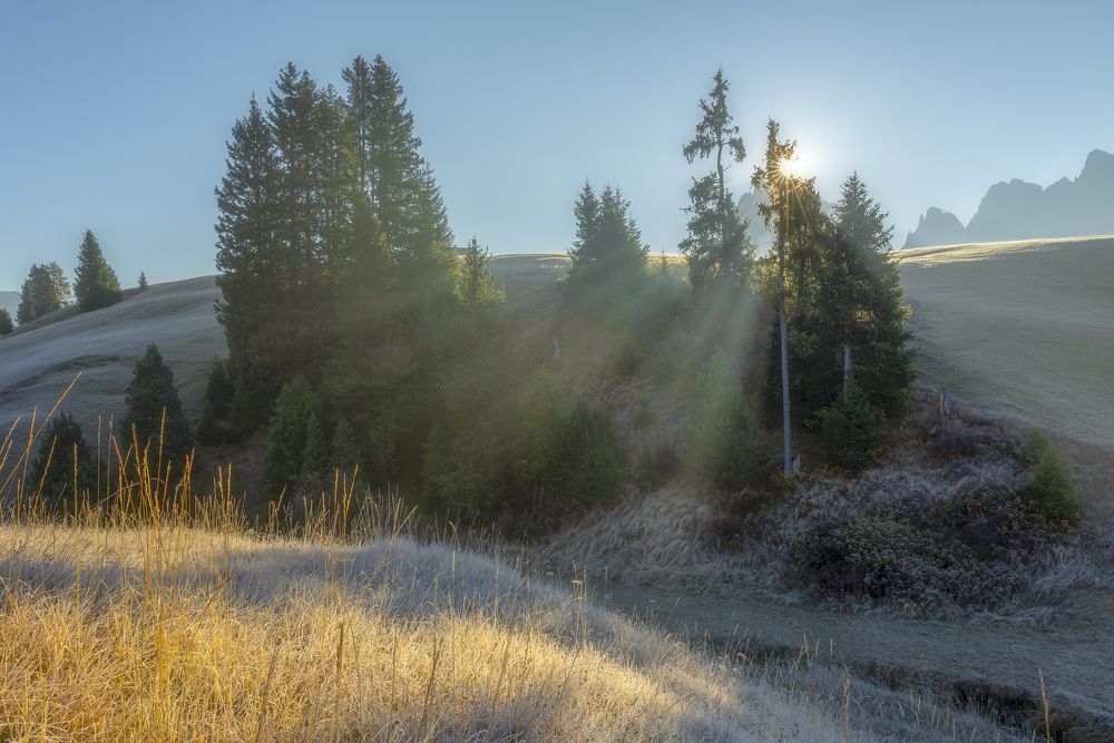 Frost and sunlight. Dolomites.