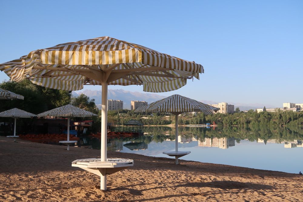 Мои прогулки