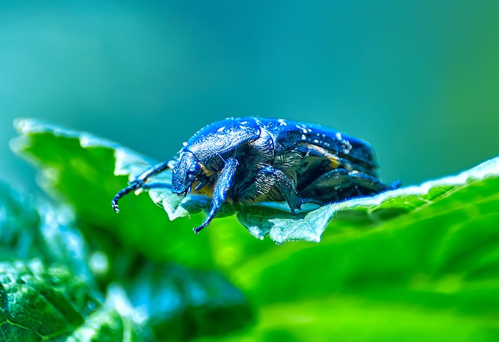 Фотография автора Игорь Иванов