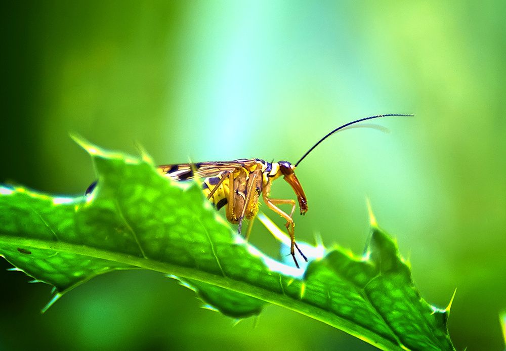 Фотография автора Игорь Иванов