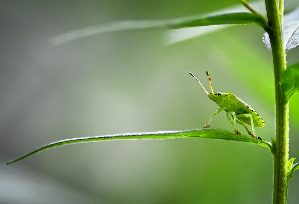 Фотография автора Игорь Иванов