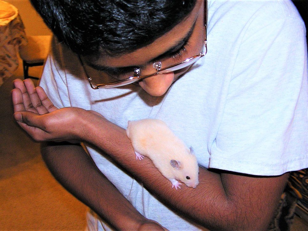 Sonny~Stuart Little