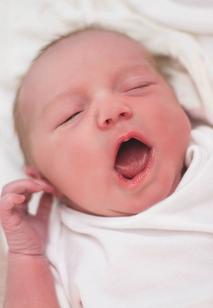 Photograph by Maria Tsechoeva