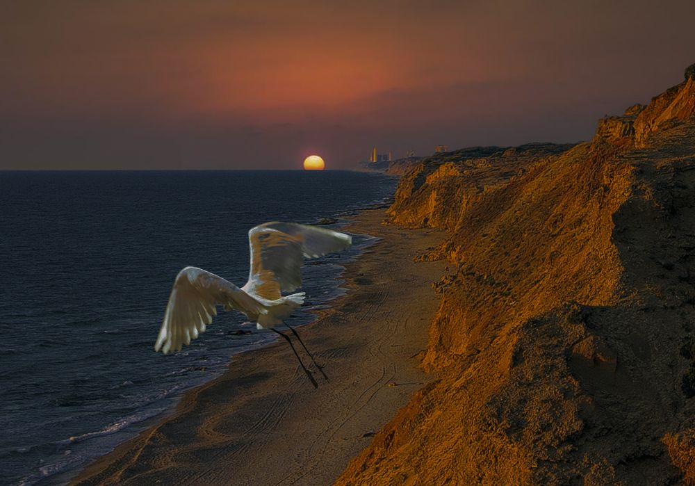 Photograph by Leonid Lan