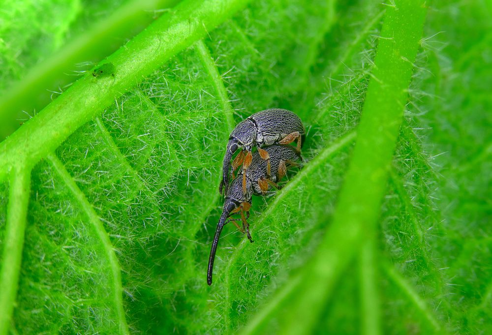 Фотография автора Dolli Pogrebnaya