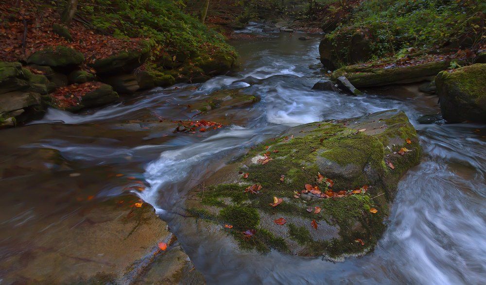 Photograph by Юрий Крилівець