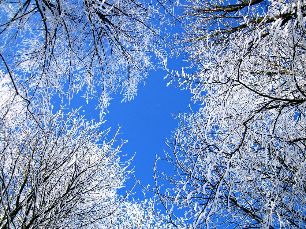 Photograph by Алина Лукащук