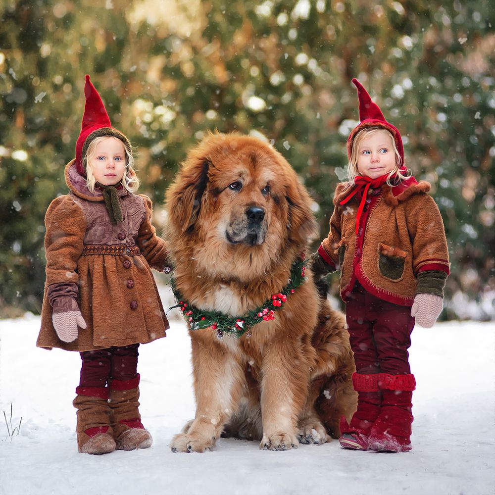 Photograph by Первенцева Елена