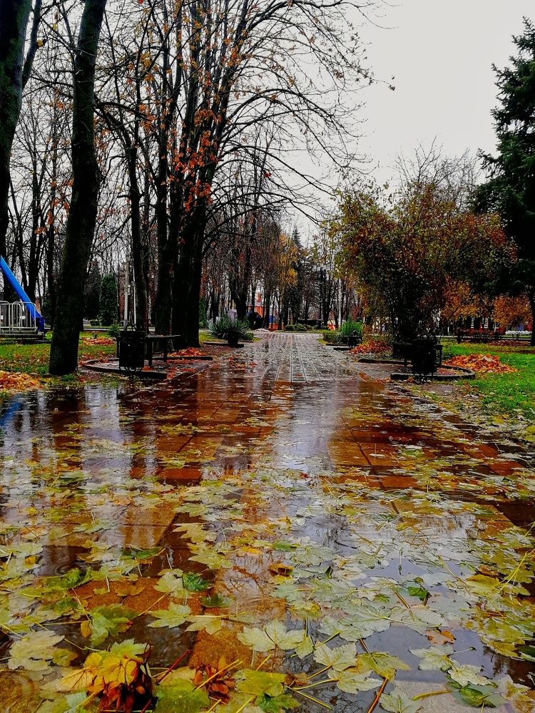 Красок несчесть