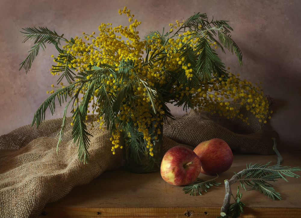 Этюд с мимозой