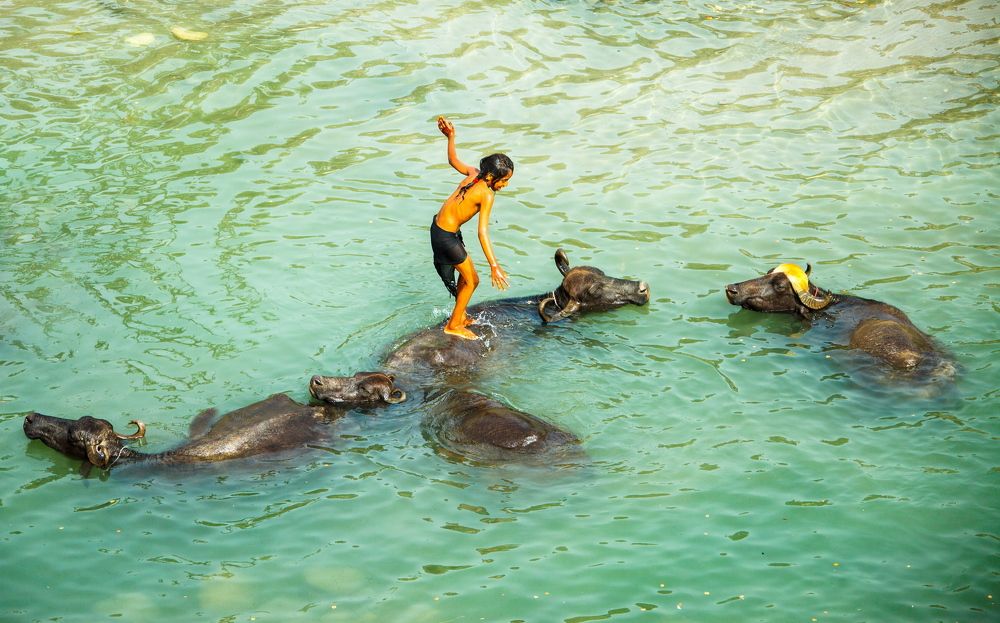 Счастливое детство