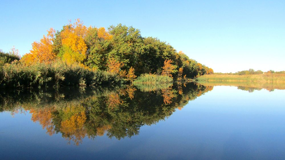 Осенний пруд