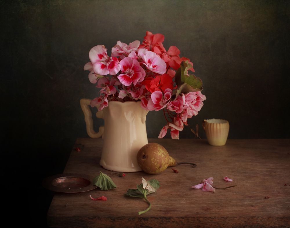 бабушкина герань