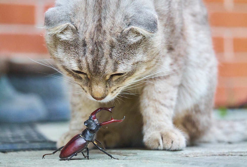 Photograph by Даниил