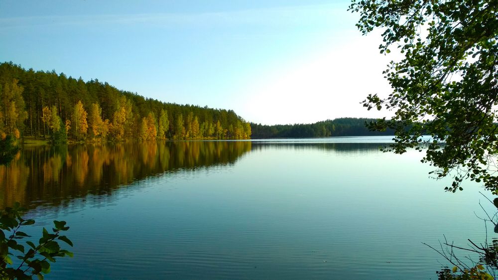 Золотое отражение