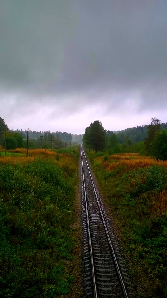 Дорога в никуда