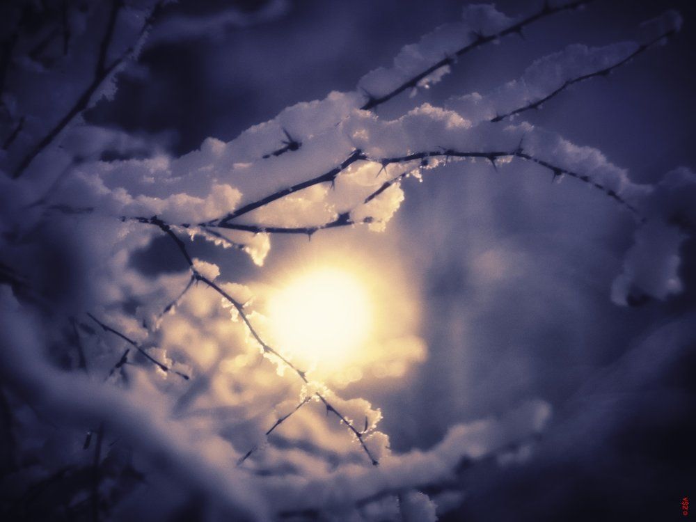 Photograph by Сергей Забиякин