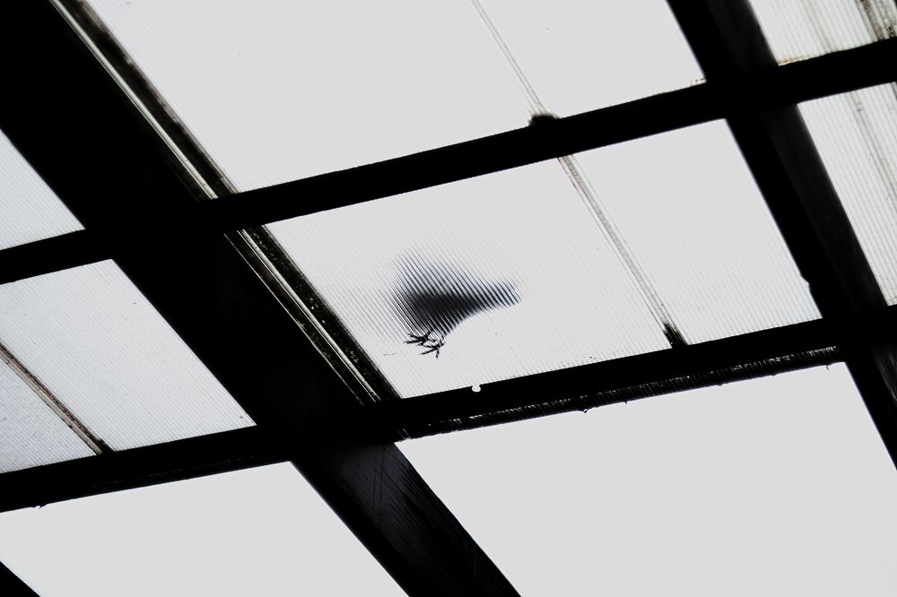 Photograph by Инна Черкасская