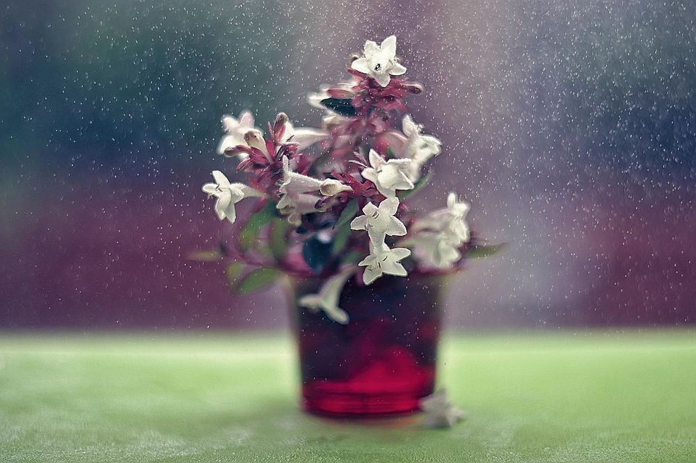 Photograph by Инна Черкасская