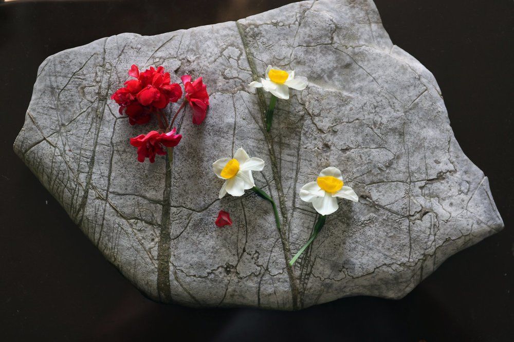 My daughter's garden