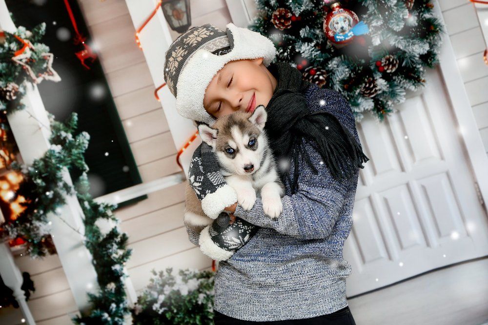 Лучший подарок