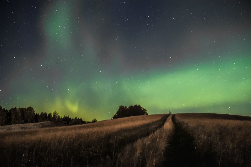 На не скошенных полях