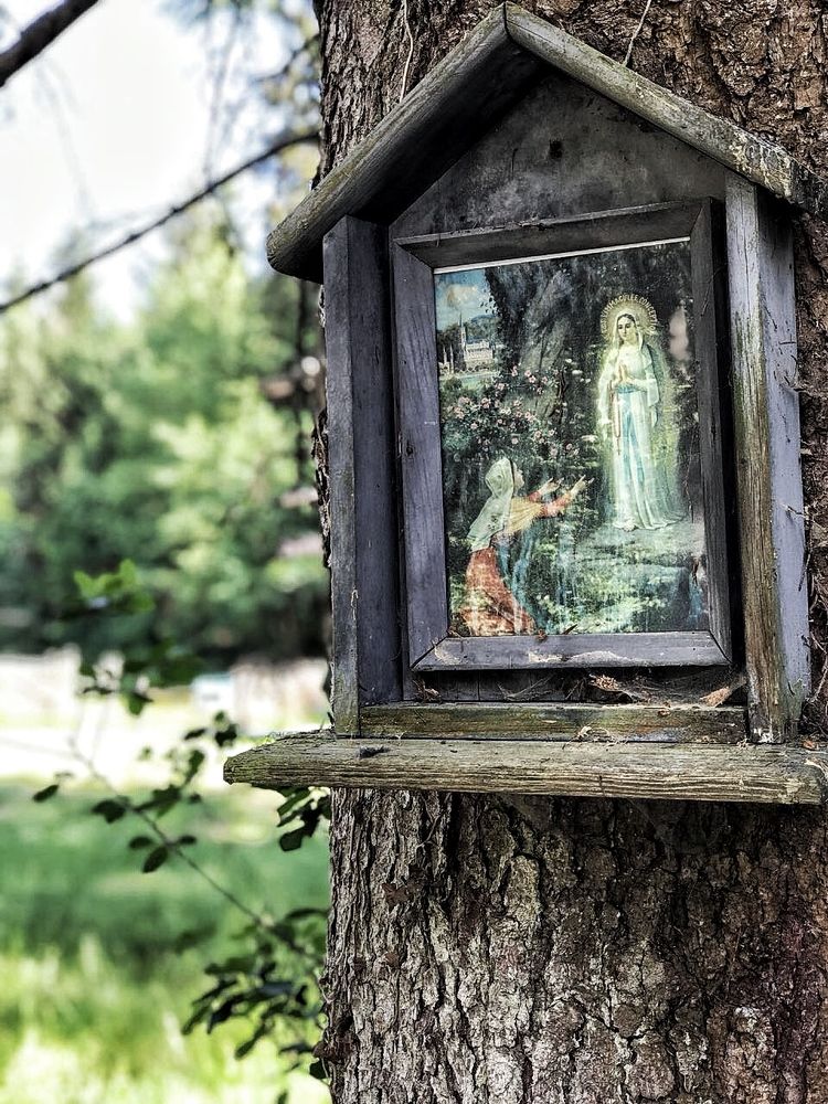 icon in the forest