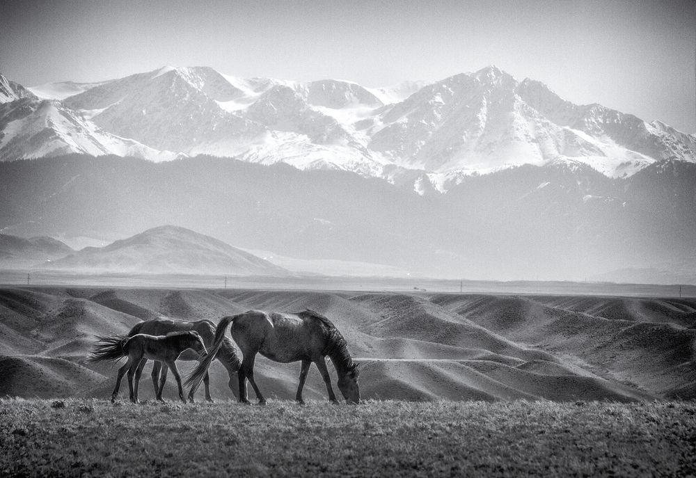 Просторы Казахстана