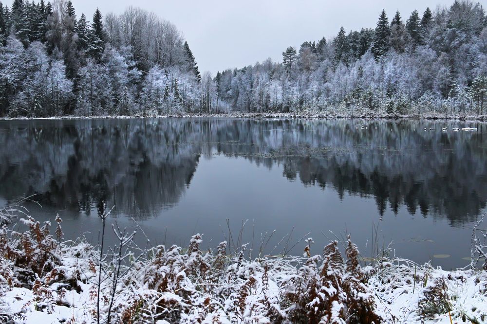 Седая тишина.