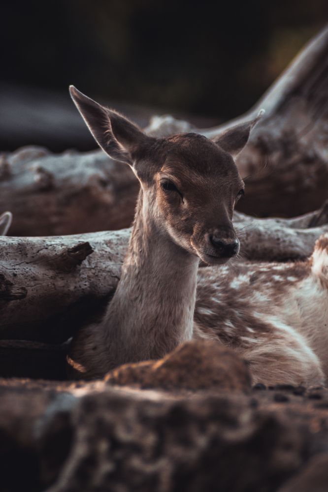 Тишина и спокойствие